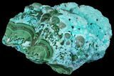 Botryoidal Malachite and Chrysocolla - Congo #148243-2